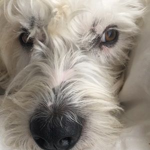 Meet your Posher, Linda